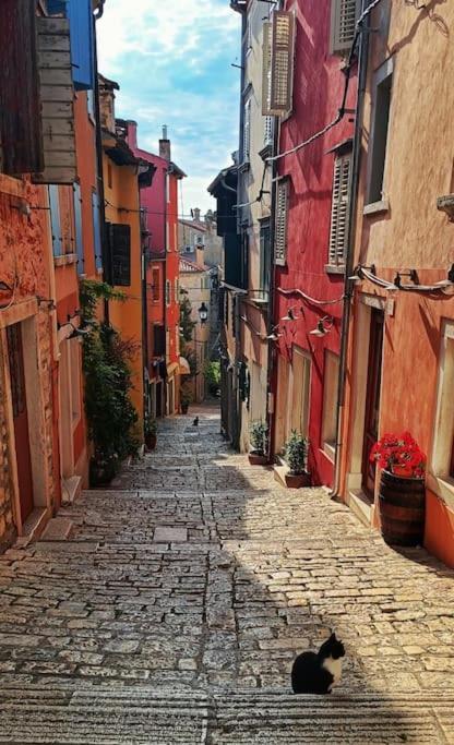 Ferienwohnung Little Heaven Rovinj Exterior foto